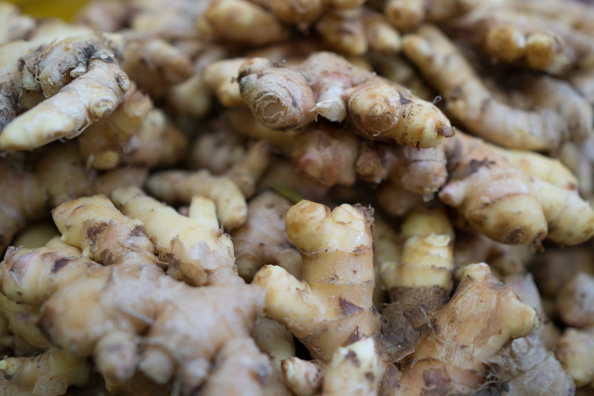 Dried herbs and loose leaf tea ingredients for menstrual cramp relief