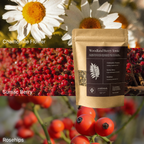 A kraft stand-up pouch labeled 'Woodland Berry Tonic' is centered over a collage of natural ingredients: chamomile flowers, red sumac berries, and rosehips. The pouch has a dark brown label with white text and a small window showing dried berries.