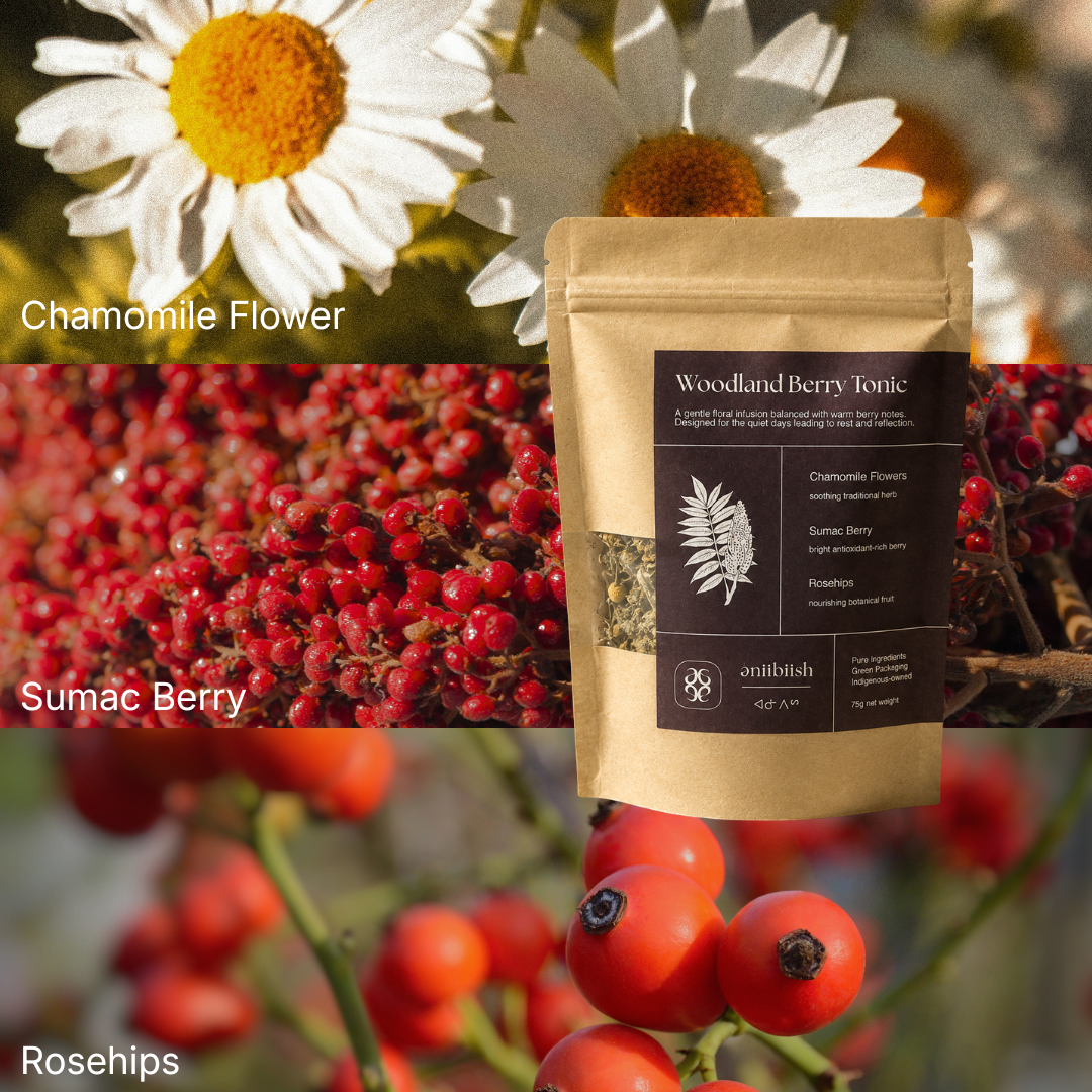 A kraft stand-up pouch labeled 'Woodland Berry Tonic' is centered over a collage of natural ingredients: chamomile flowers, red sumac berries, and rosehips. The pouch has a dark brown label with white text and a small window showing dried berries.