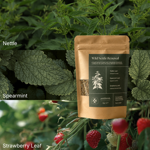 A kraft paper stand-up pouch labeled 'Wild Nettle Renewal' is centered over a collage of green nettle leaves and red strawberries, with text overlays reading 'Nettle,' 'Spearmint,' and 'Strawberry Leaf.' The pouch has a dark green front label and a small clear window showing loose herbal pieces inside.