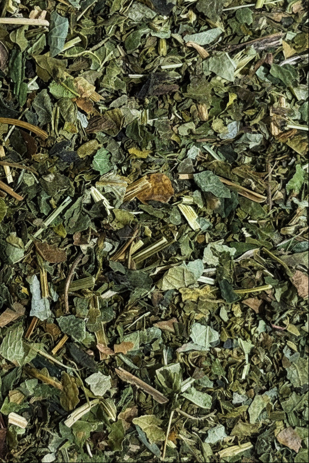 Close-up of dried green herbs and leaves