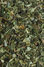 Close-up of dried Wild Nettle Renewal